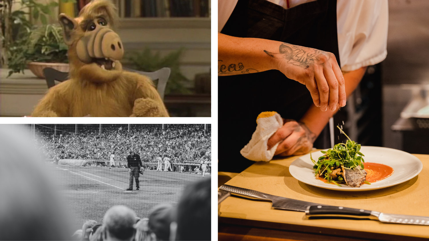 ALF. Baseball umpire. Chef.